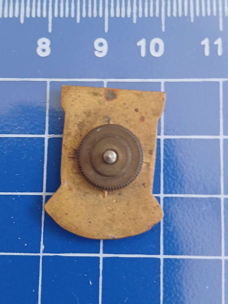 DF Malerbe School - Pin