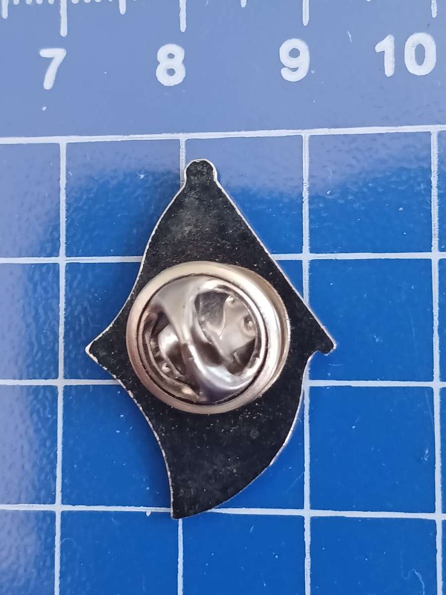 Flag Pin - Hong Kong