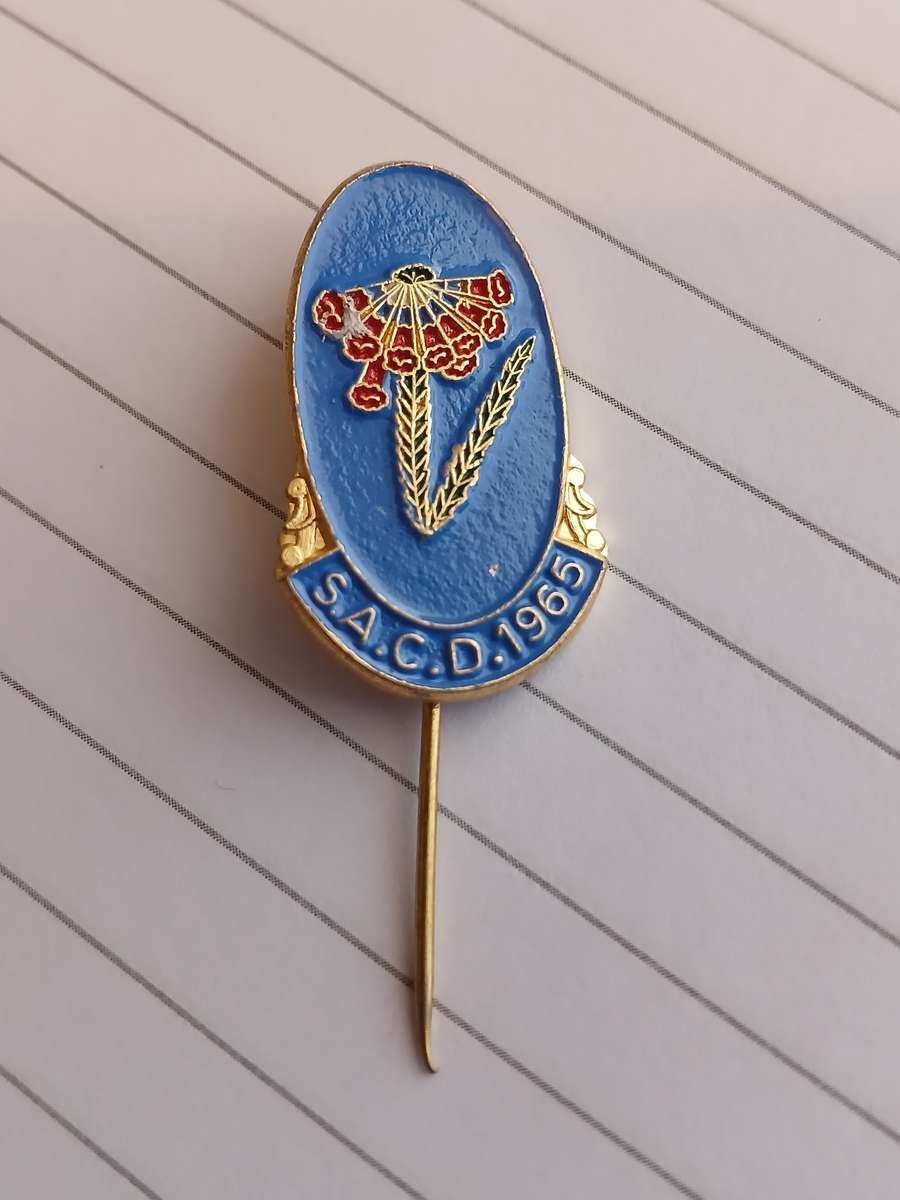 SA Rugby / S.A.C.D. 1965 / South Africa Country Districs Rugby Pin Badge