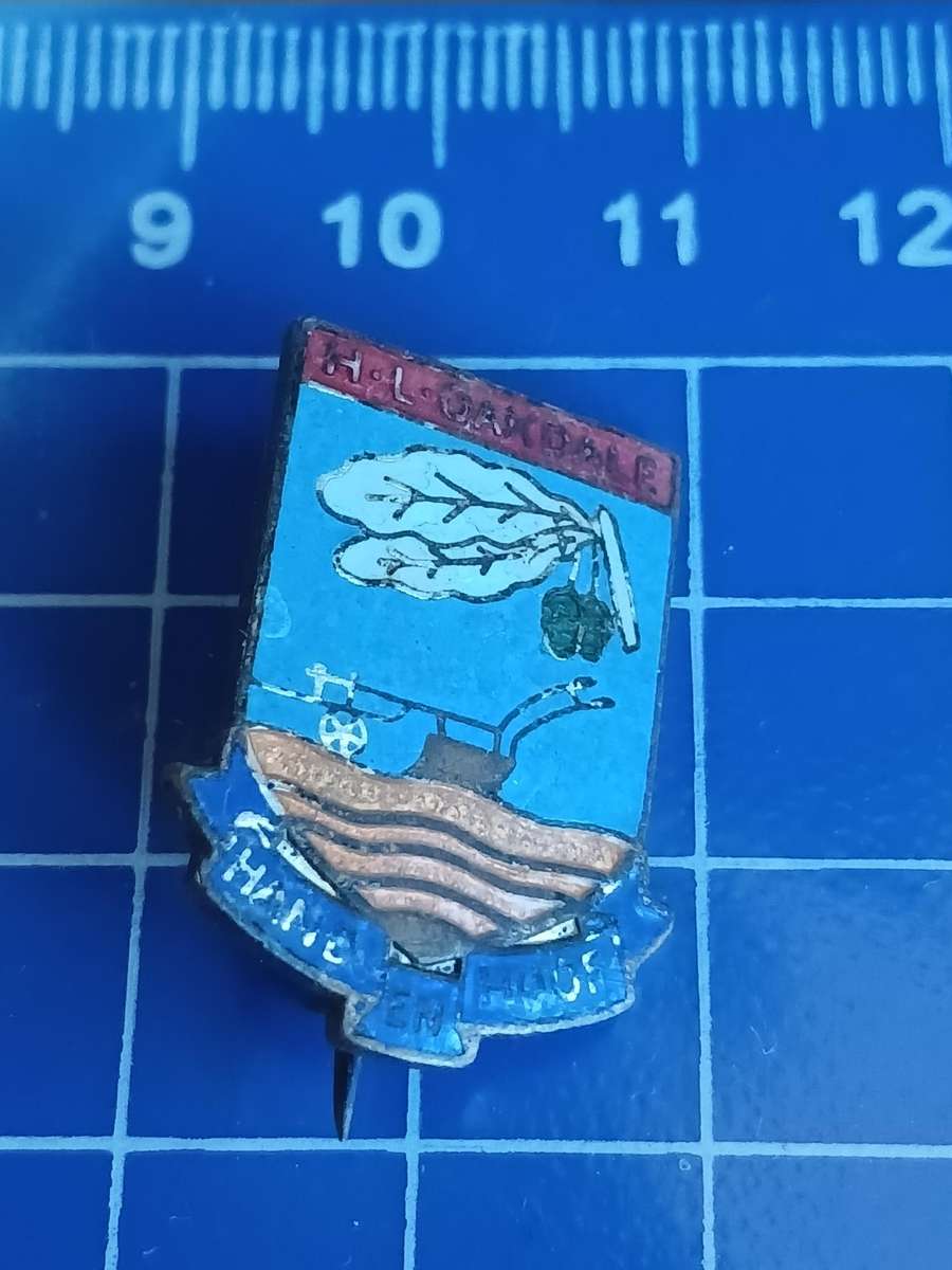 School Oakdale Pin