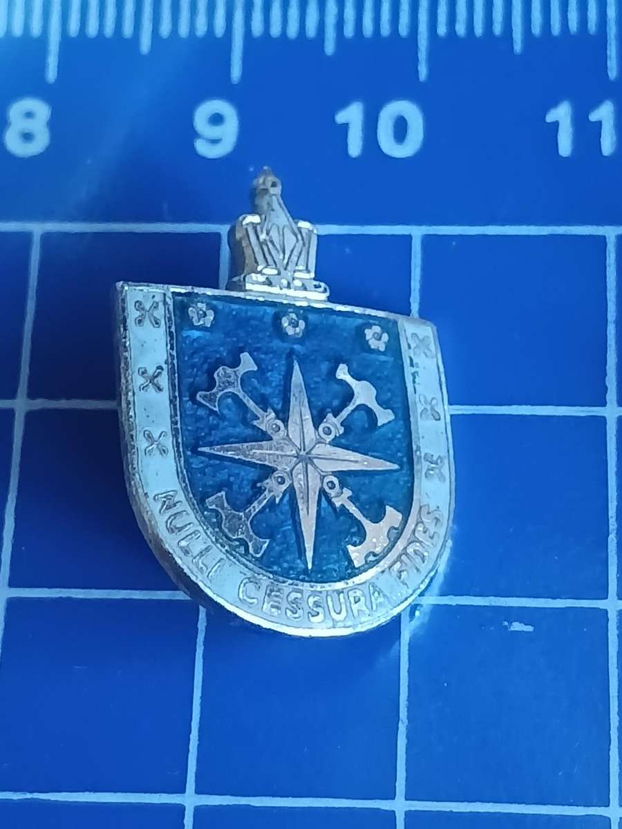 Rugby Pin / Badge - UPE ( University of Port Elizabeth )