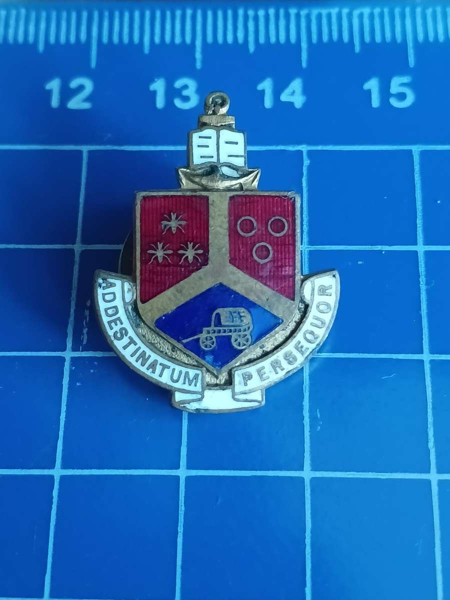 Rugby Pin / Badge -