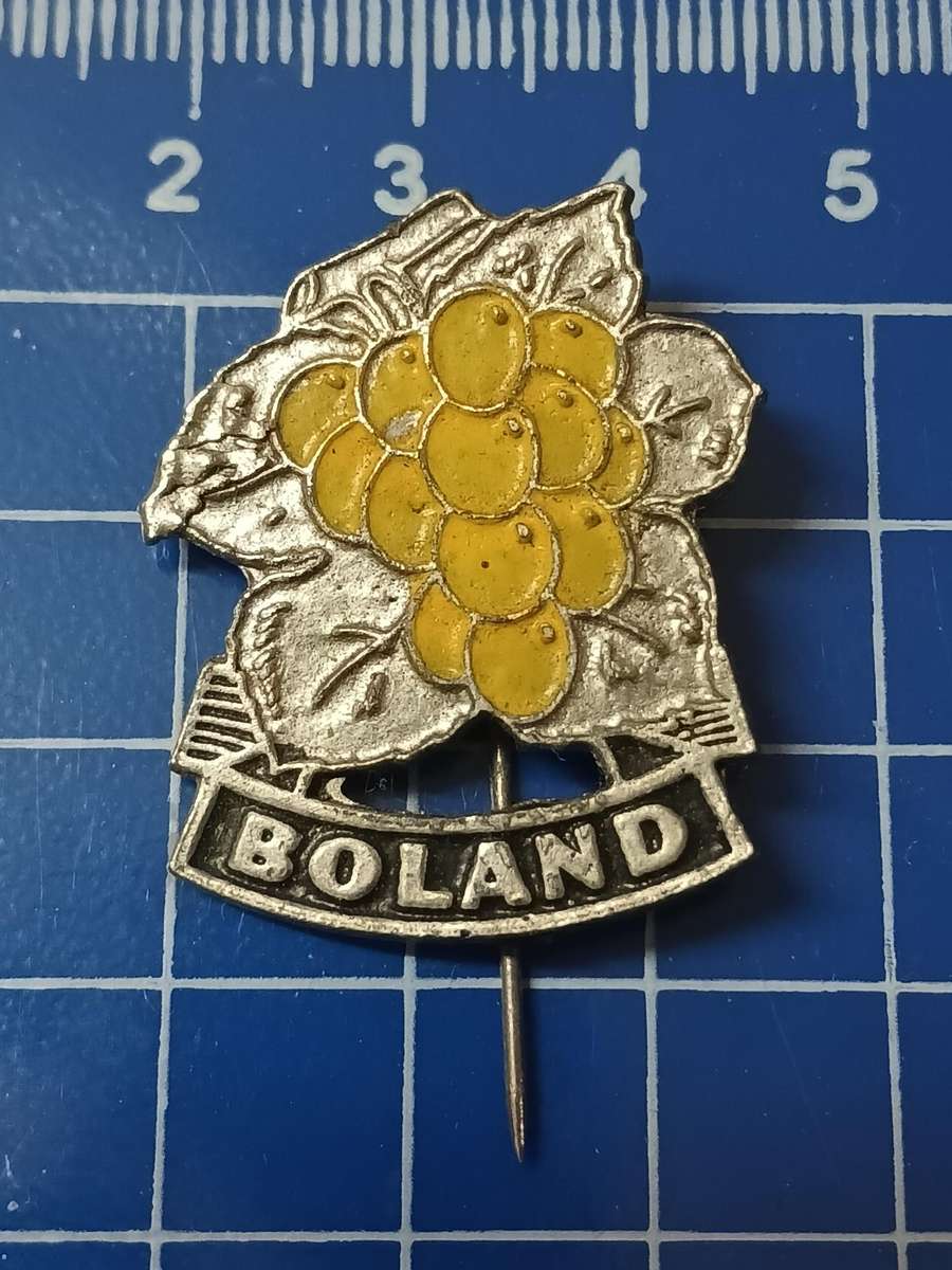 Rugby Pin / Badge Boland