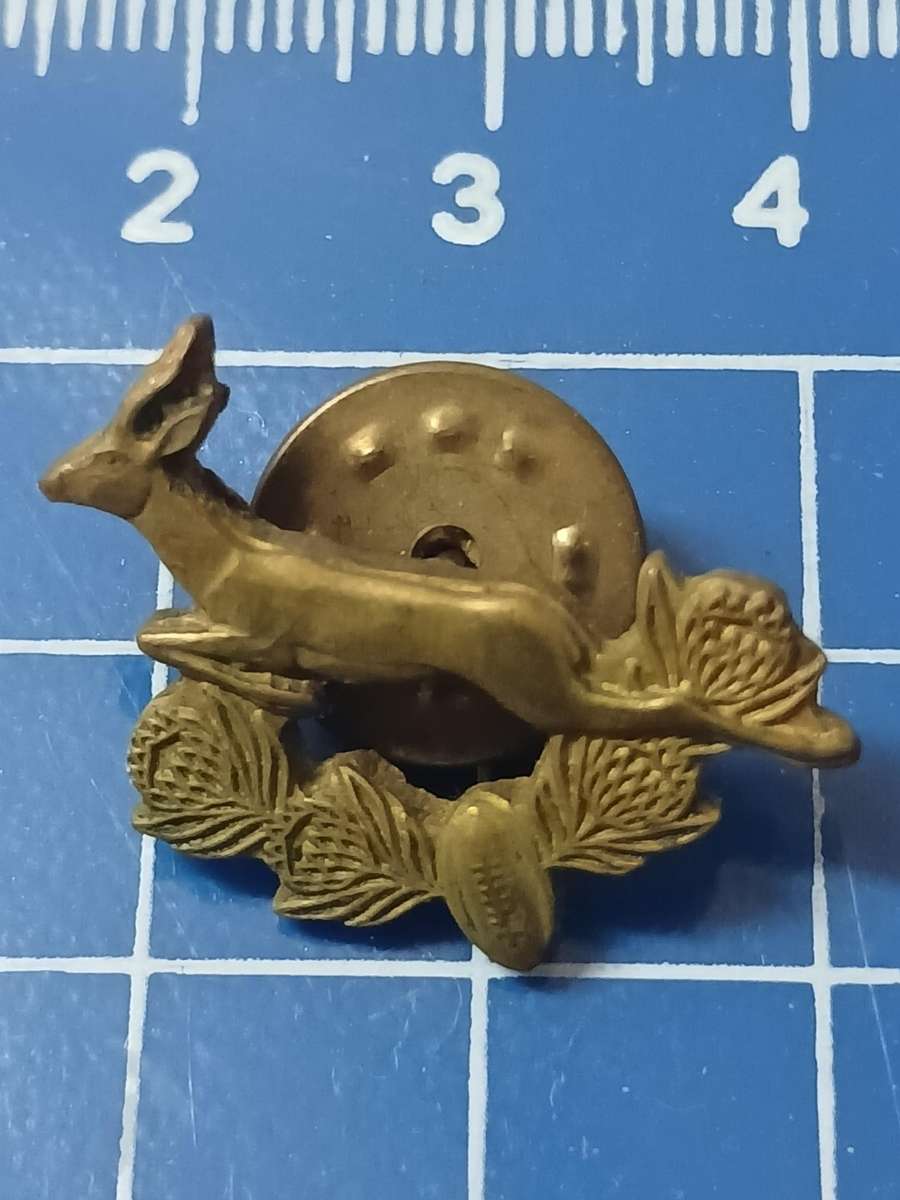 Rugby Pin / Badge Springboks 1992 - 1996