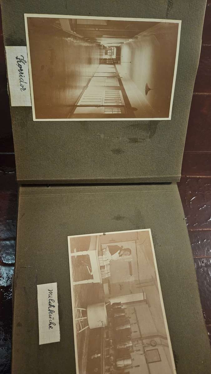 Album with Antique Photographs >1900