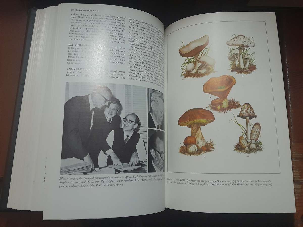 Standard Encyclopedia of Southern Africa - full set of 12