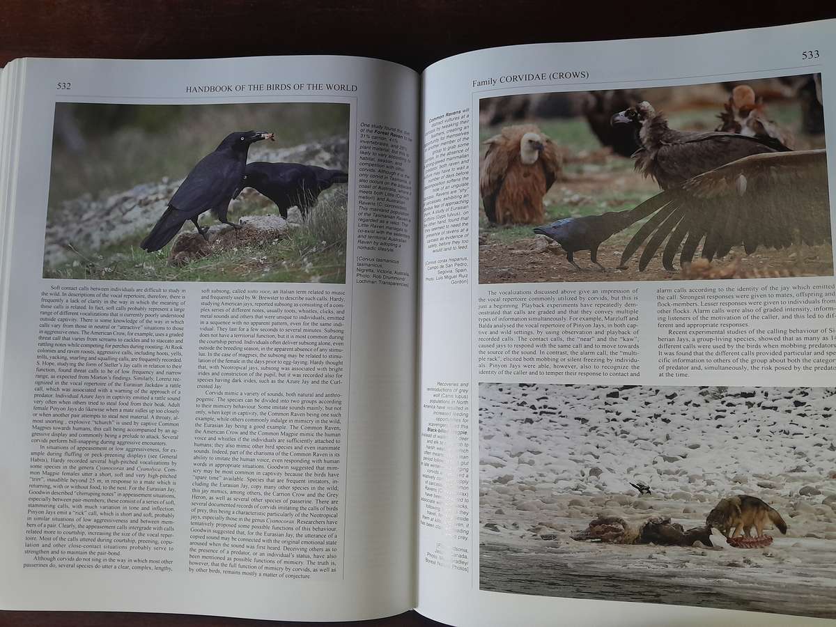 Birds of the World - vol. 1 - 14