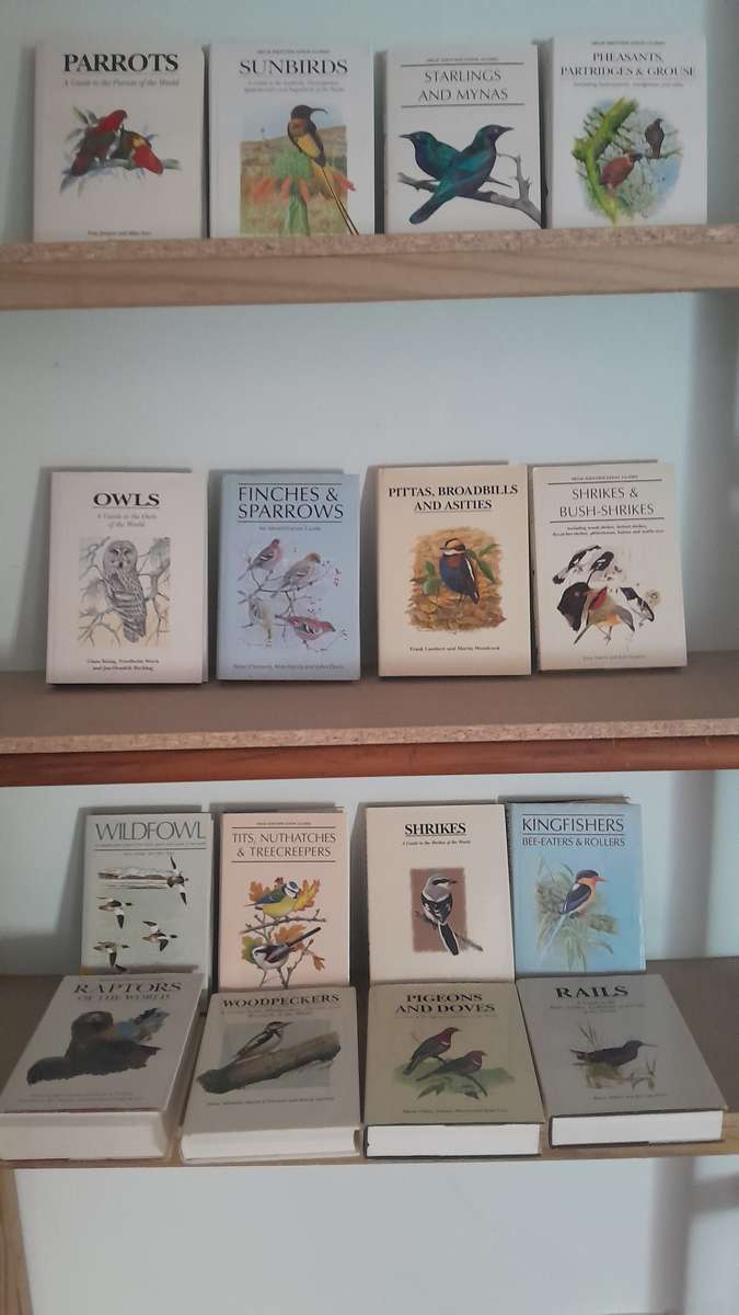 Bird Books - set of 16