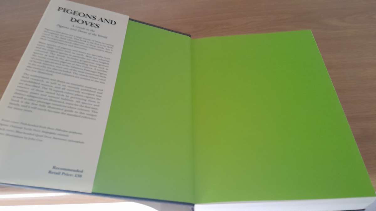 Bird Books - set of 16