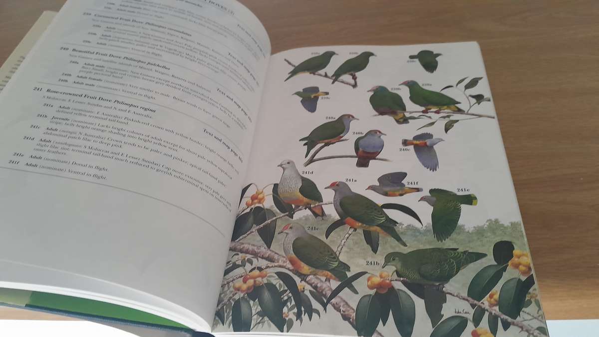 Bird Books - set of 16