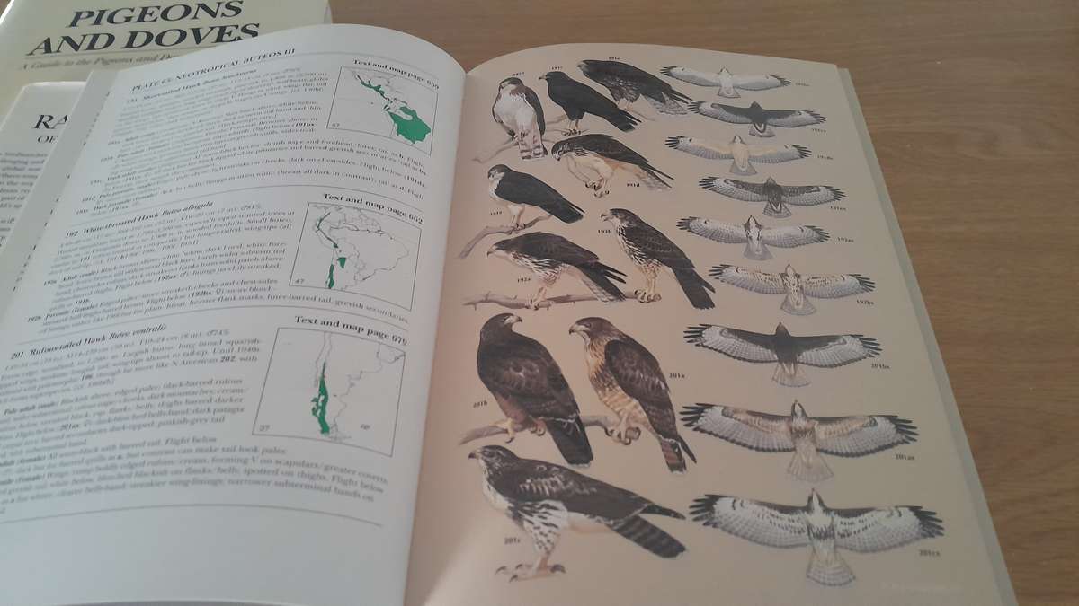 Bird Books - set of 16