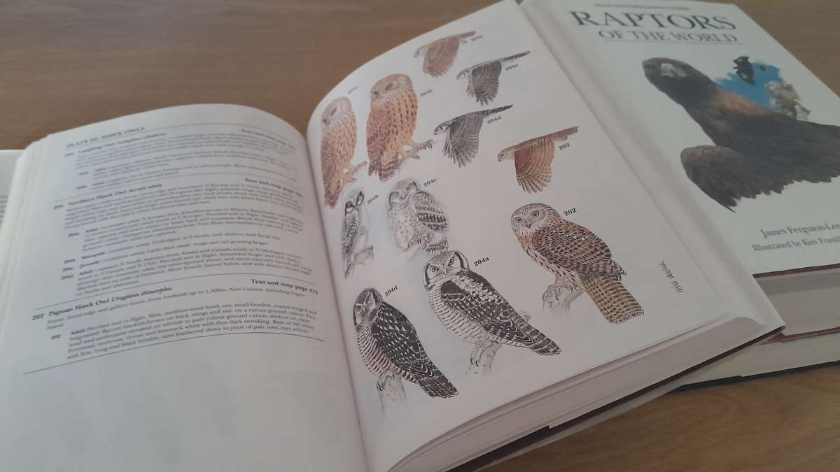 Bird Books - set of 16