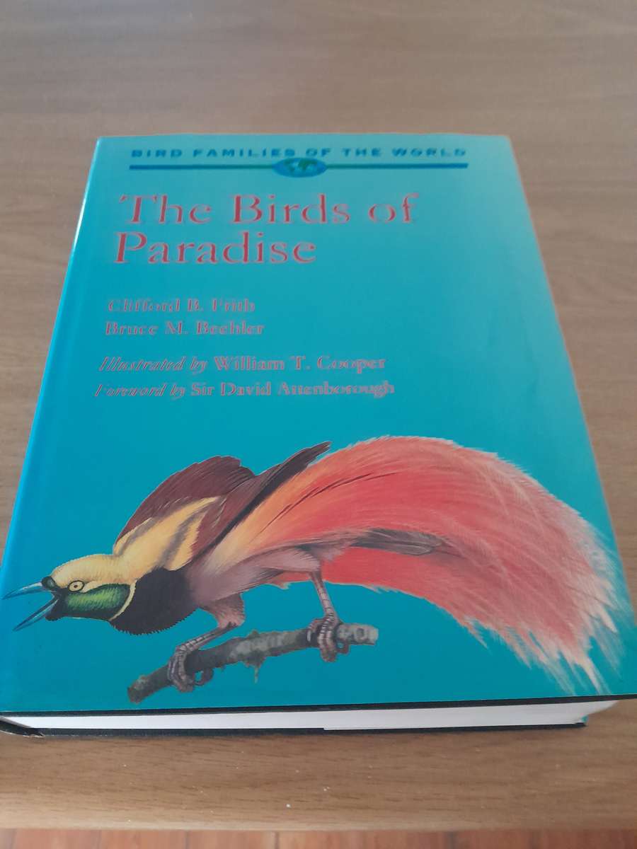 bird books - set of 12