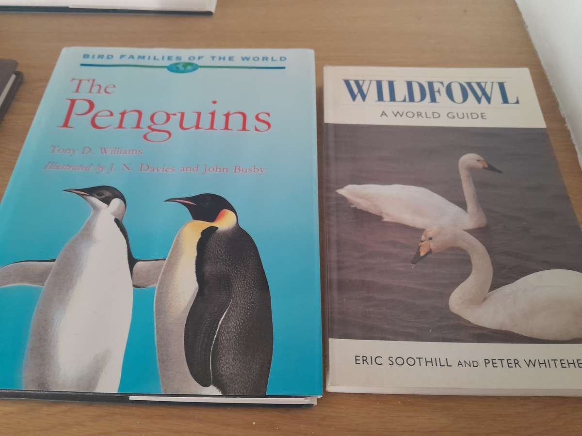 bird books - set of 12