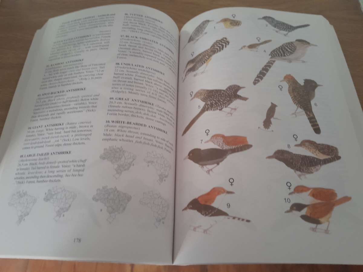 bird books - set of 12