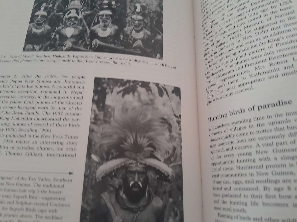 bird books - set of 12