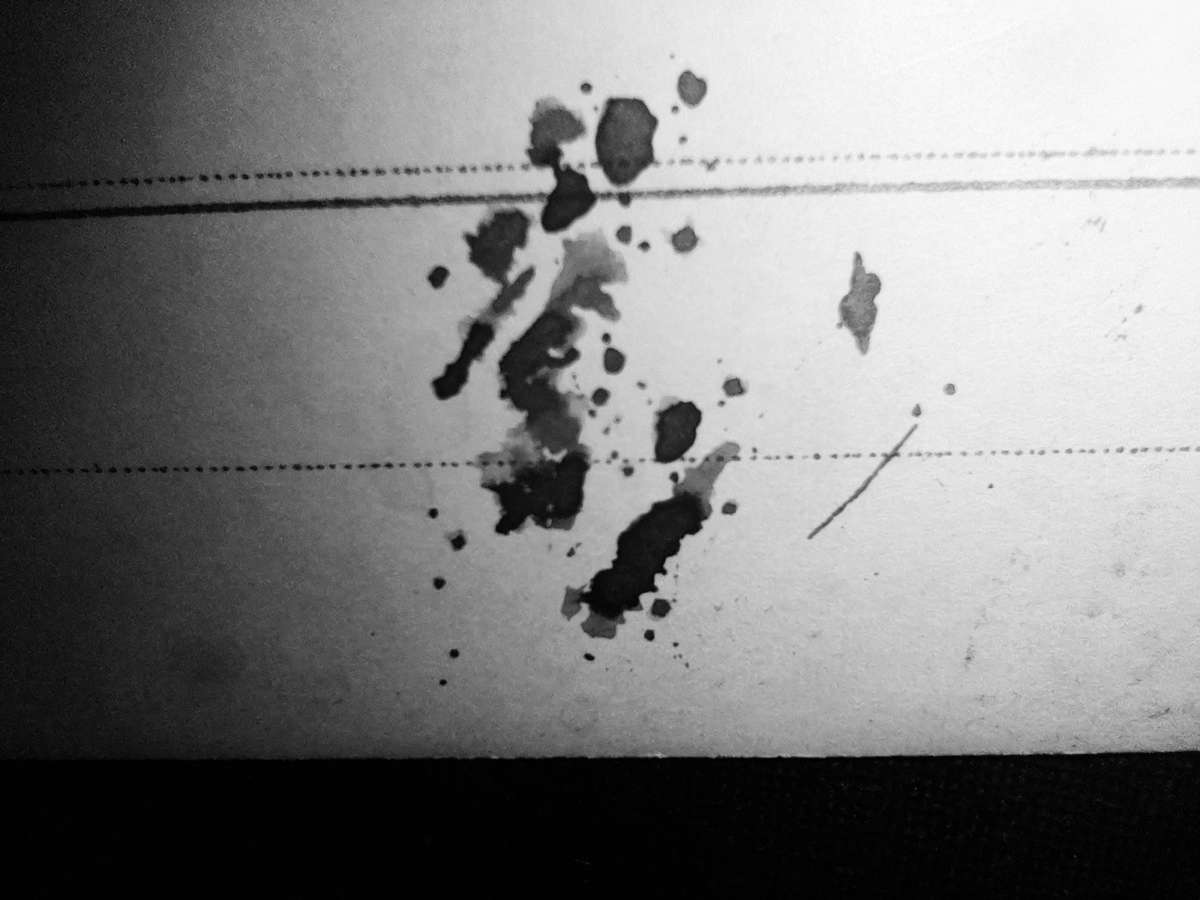 Pavlova - autographed postcard (includes book)