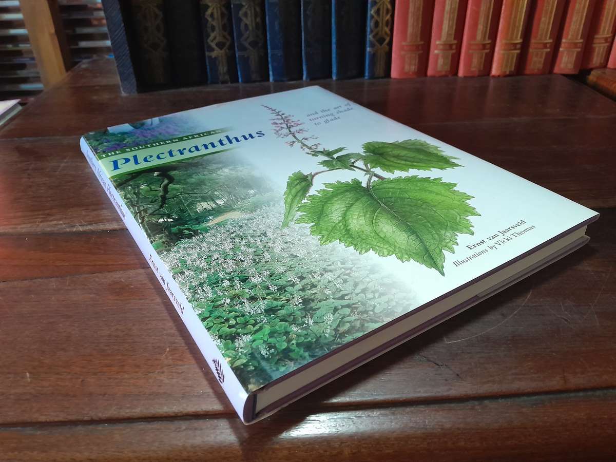 The Southern African Plectranthus