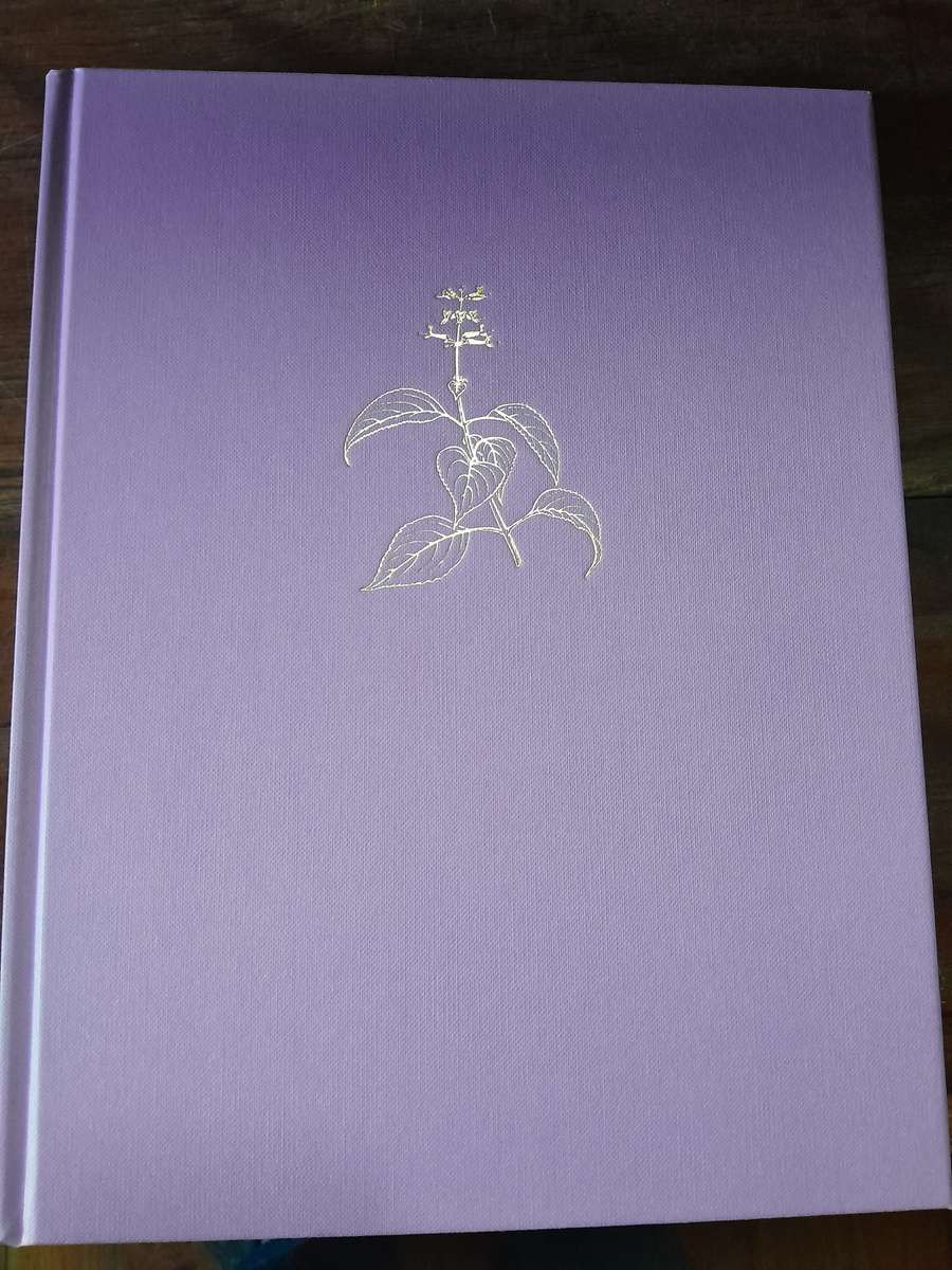 The Southern African Plectranthus