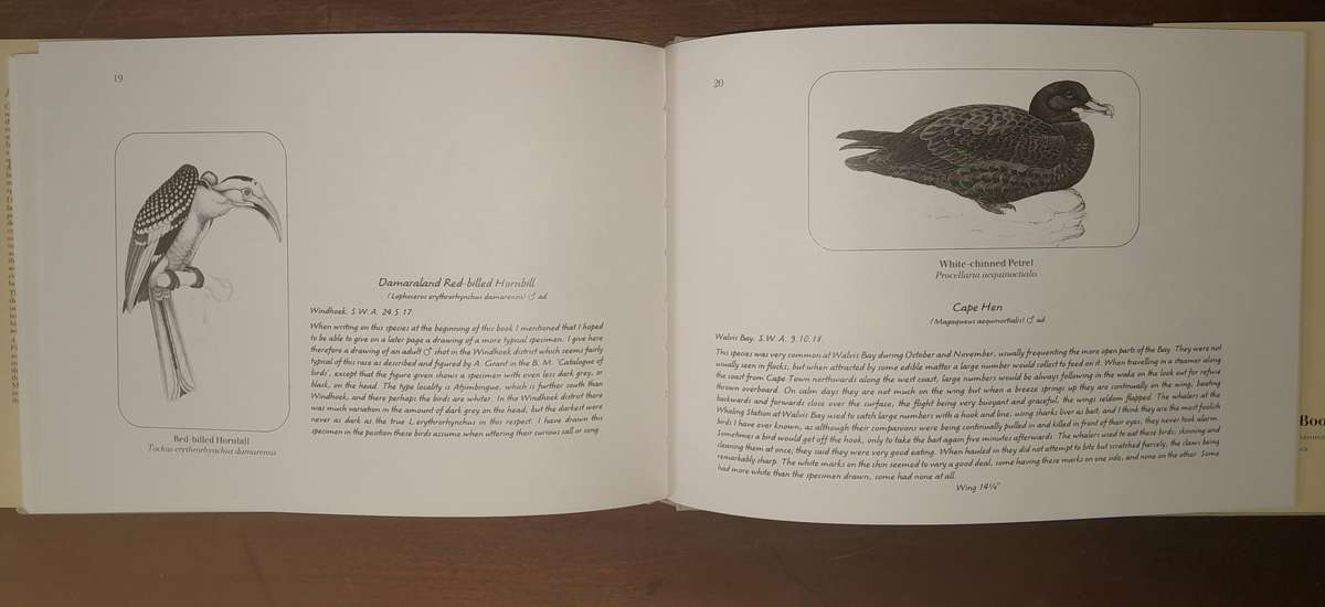 A Celebration of Birds - C.G. Finch-Davies
