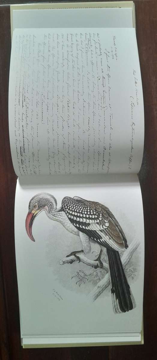 A Celebration of Birds - C.G. Finch-Davies