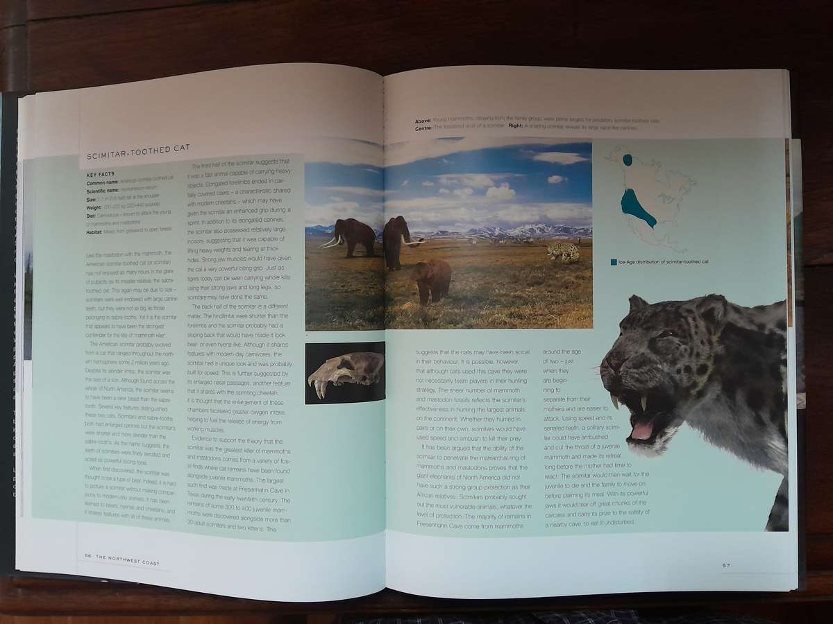 Wild New World - Recreating Ice-Age North America