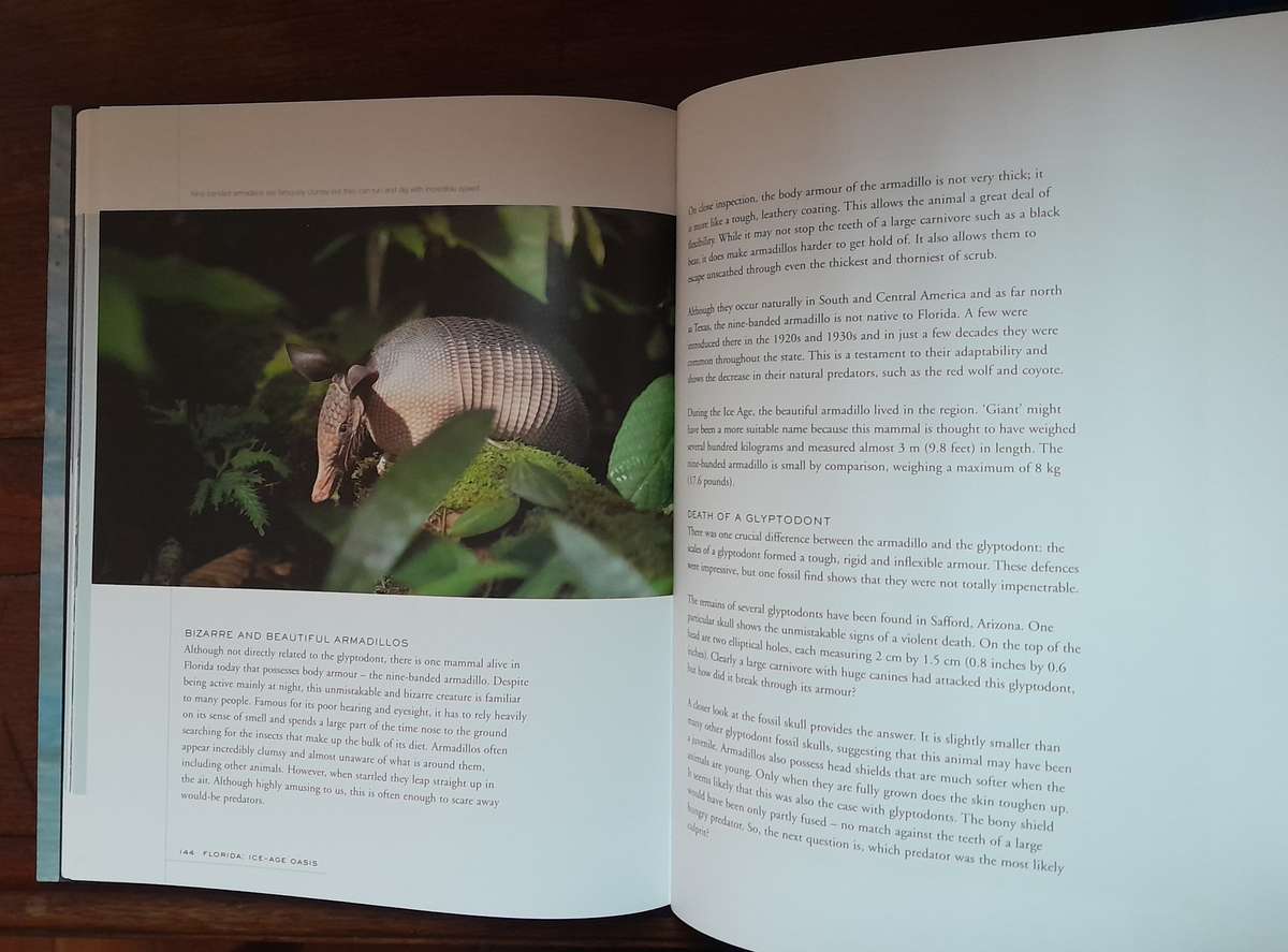 Wild New World - Recreating Ice-Age North America