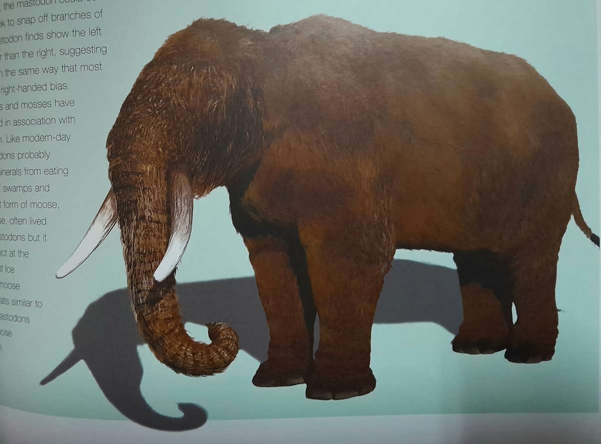 Wild New World - Recreating Ice-Age North America