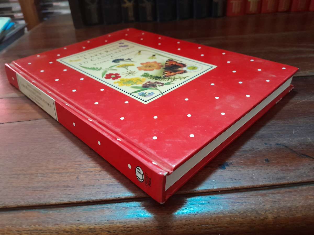 Lark Rise to Candleford - Illustrated