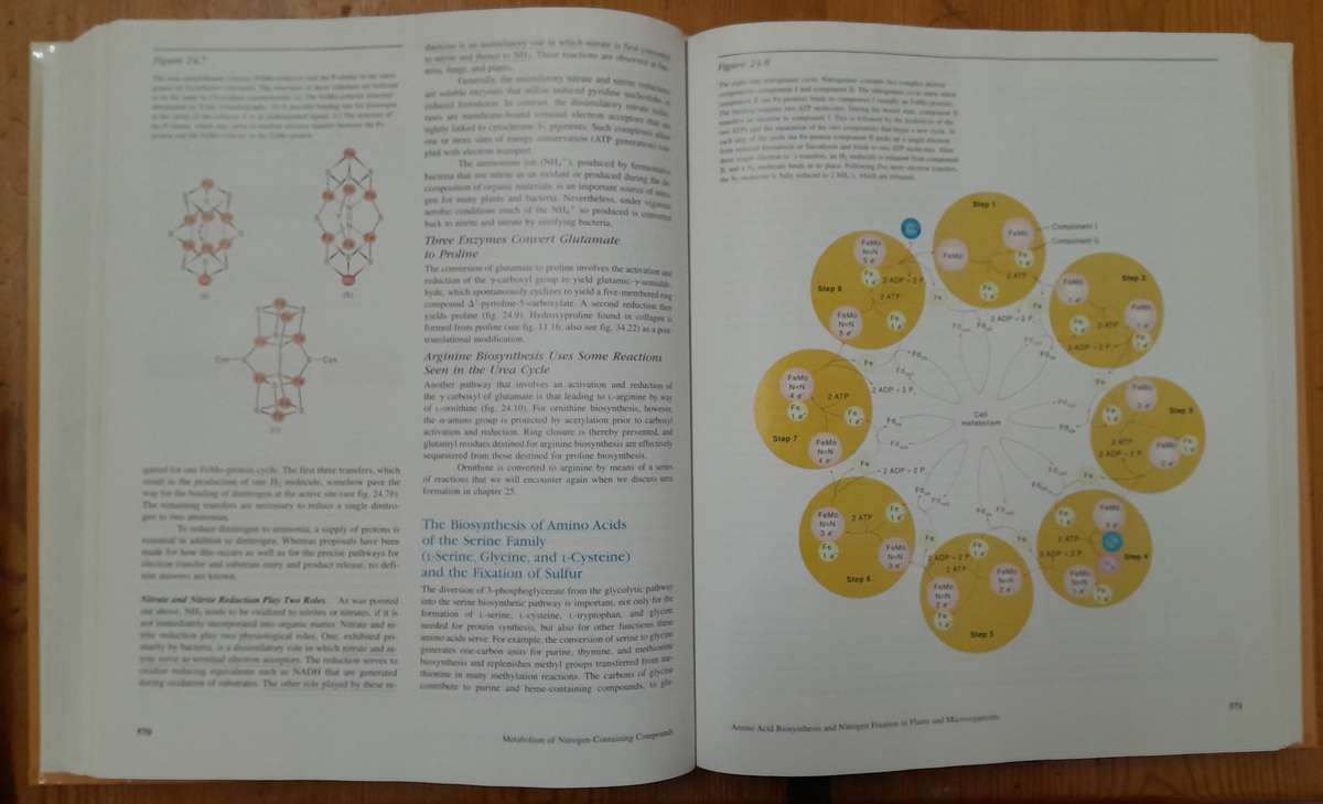 Biochemistry - Fourth Edition