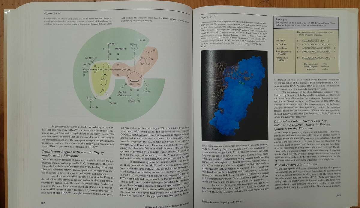 Biochemistry - Fourth Edition