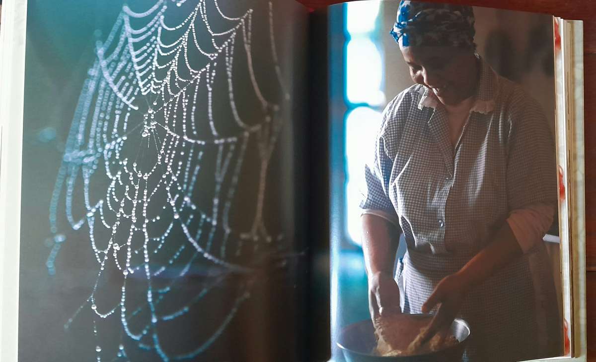 prickly pears & pomegranates