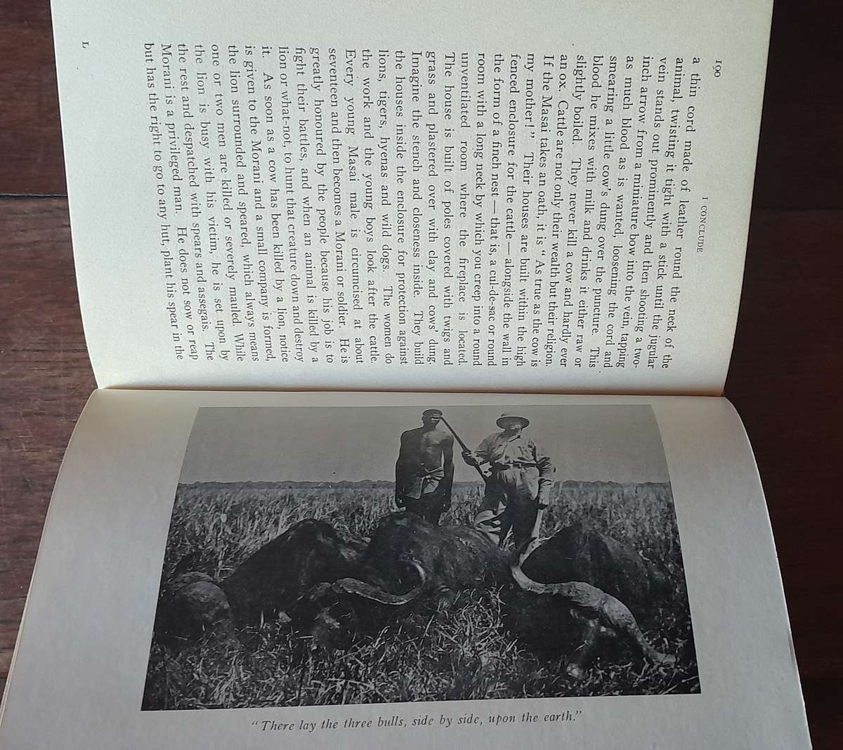 I Conclude - Convictions and Eperiences of a free-thinking Doctor and Hunter