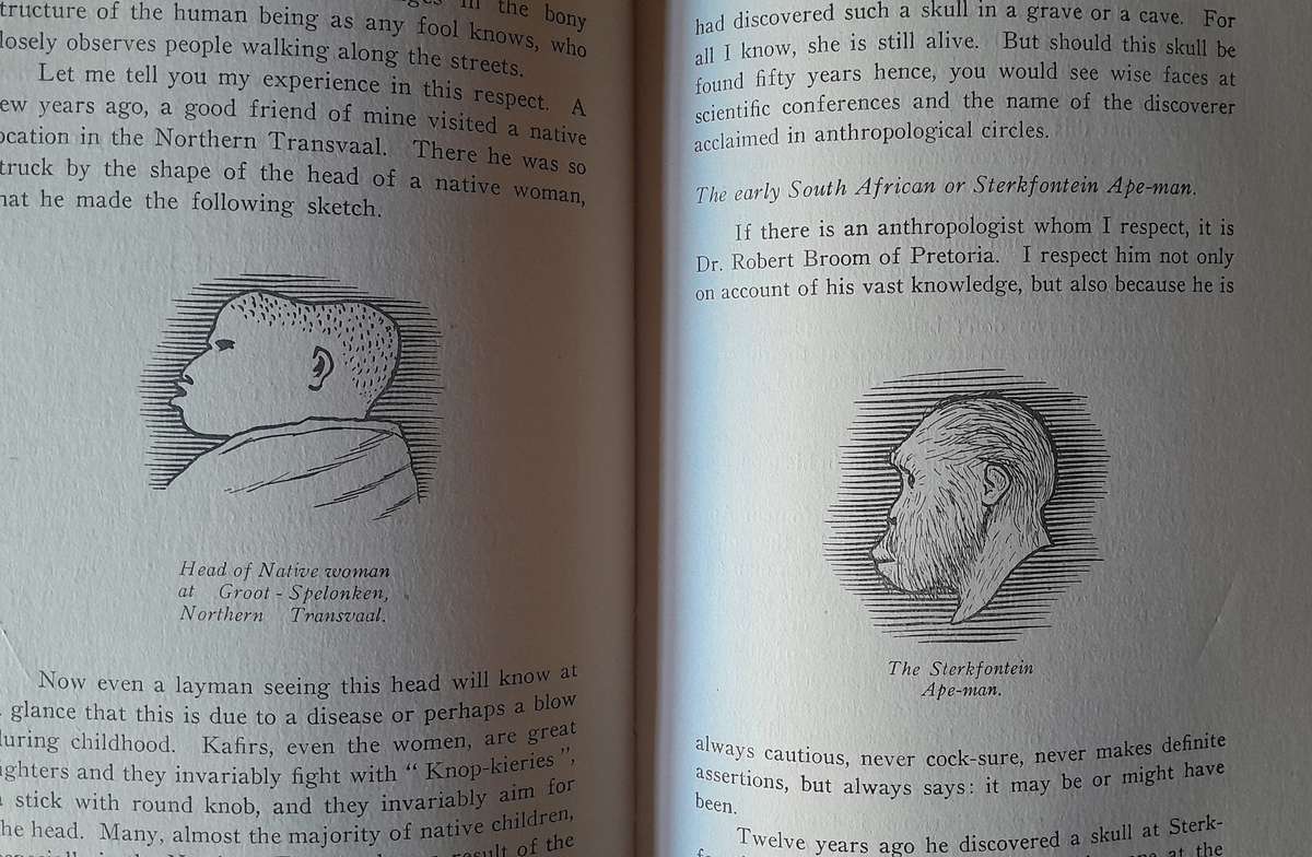 I Conclude - Convictions and Eperiences of a free-thinking Doctor and Hunter