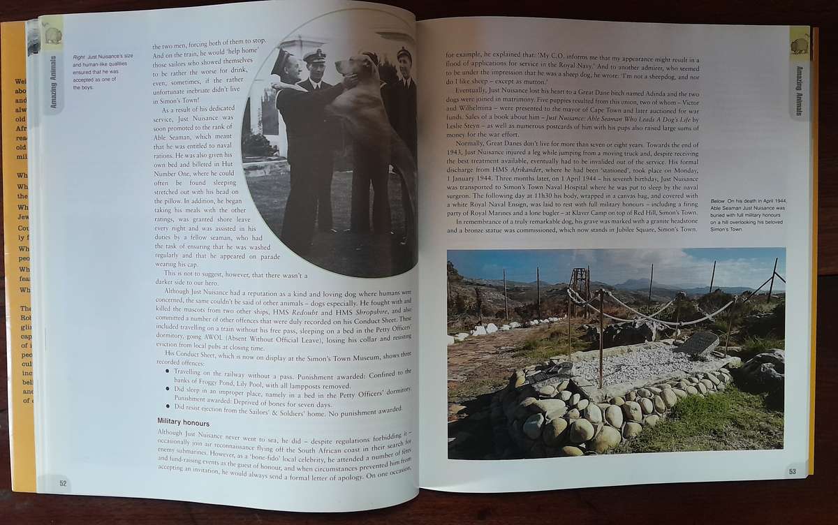 South Africa Weird and Wonderful