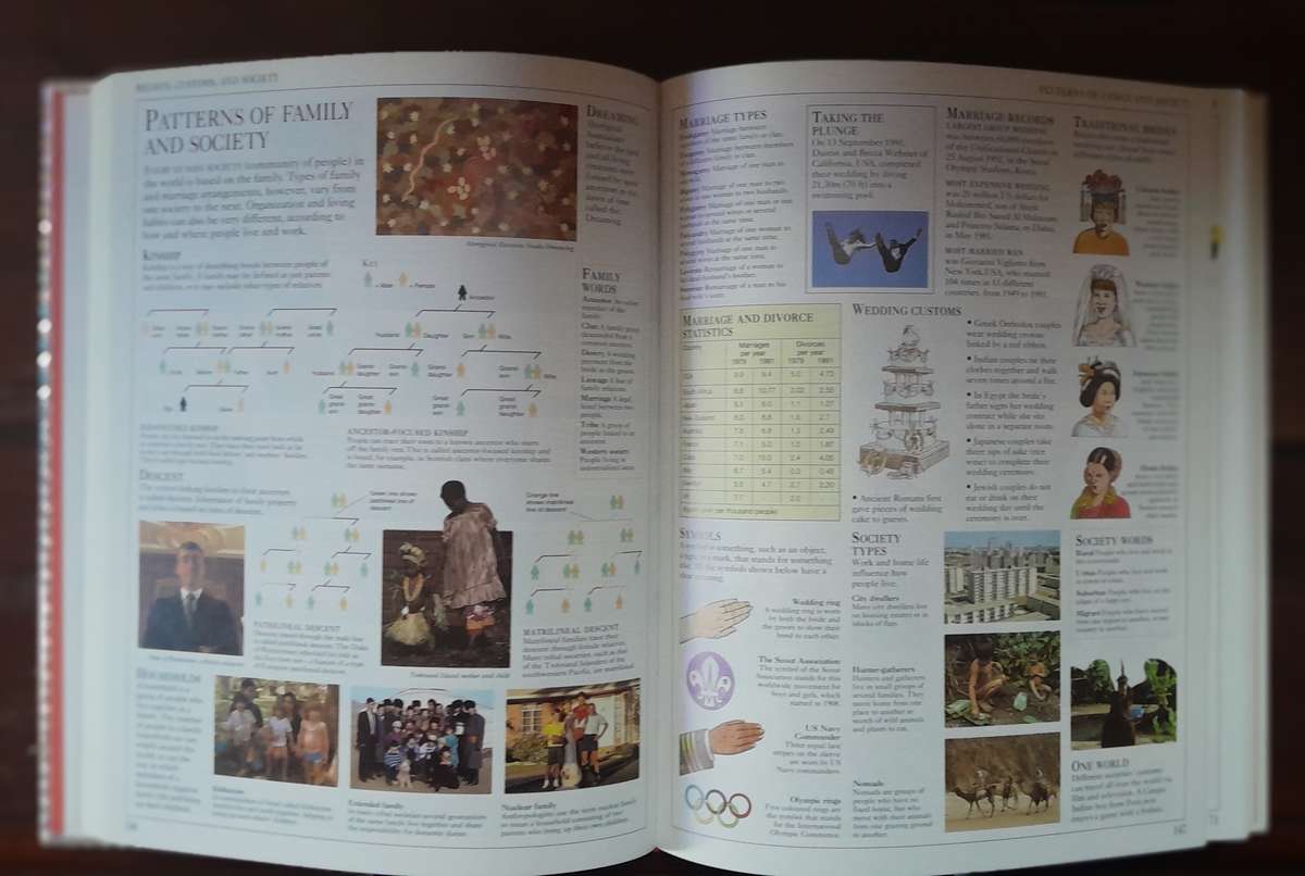 Illustrated Factopedia