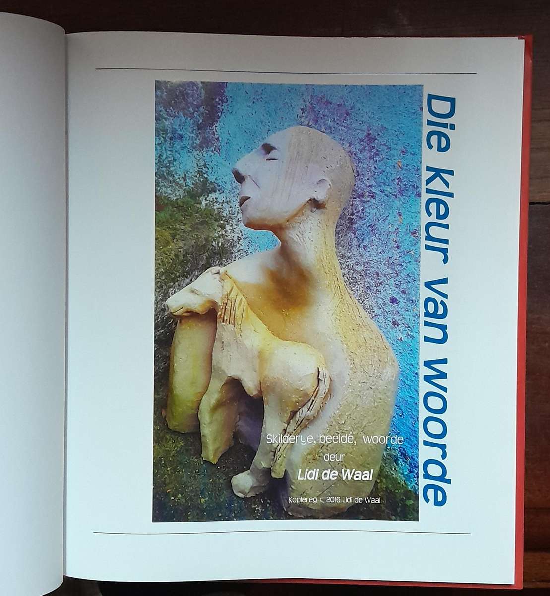 Die Kleur van Woorde - Lidi de Waal