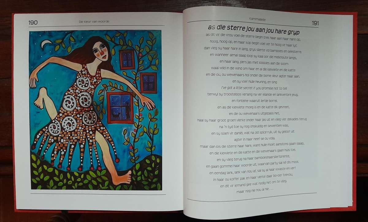 Die Kleur van Woorde - Lidi de Waal