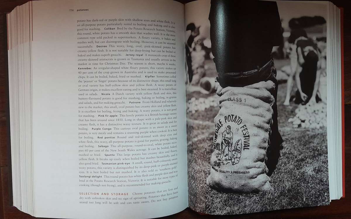 The cook's companion