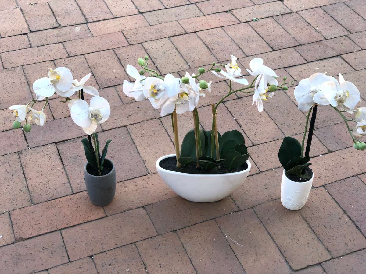 Orchid Plant x3 (Artificial Plant)