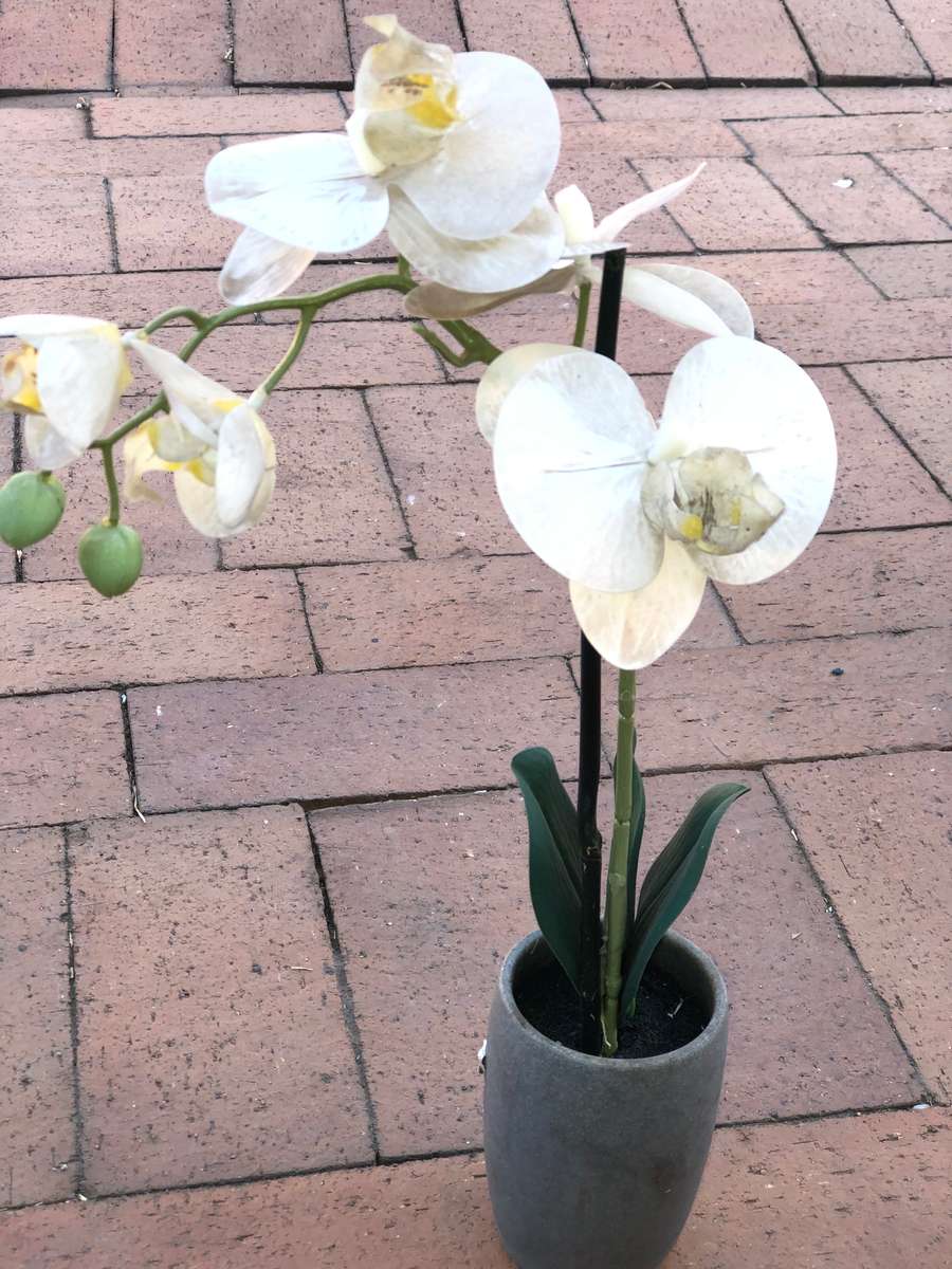Orchid Plant x3 (Artificial Plant)