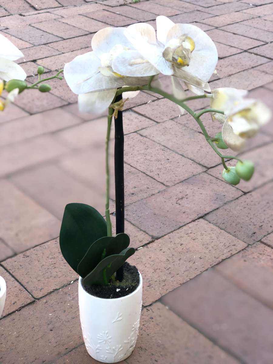 Orchid Plant x3 (Artificial Plant)