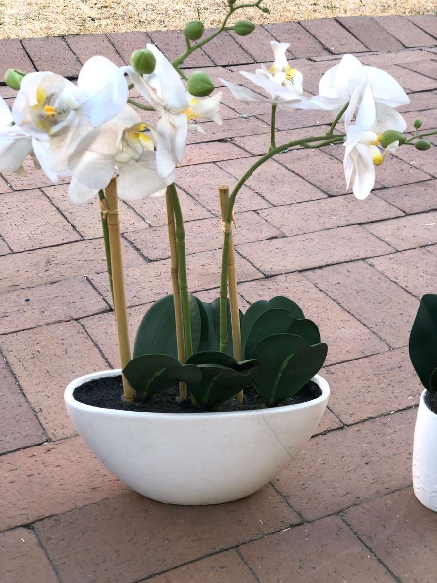 Orchid Plant x3 (Artificial Plant)