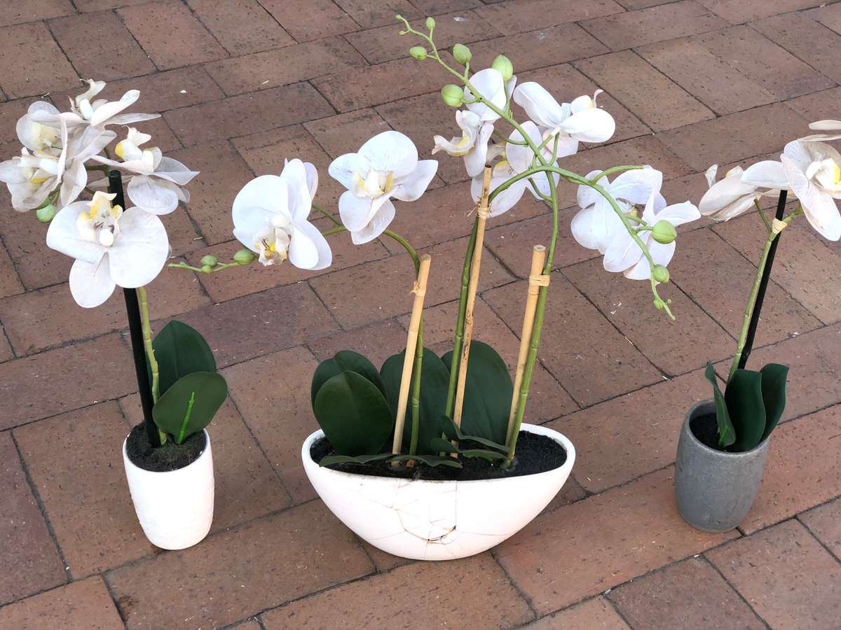 Orchid Plant x3 (Artificial Plant)