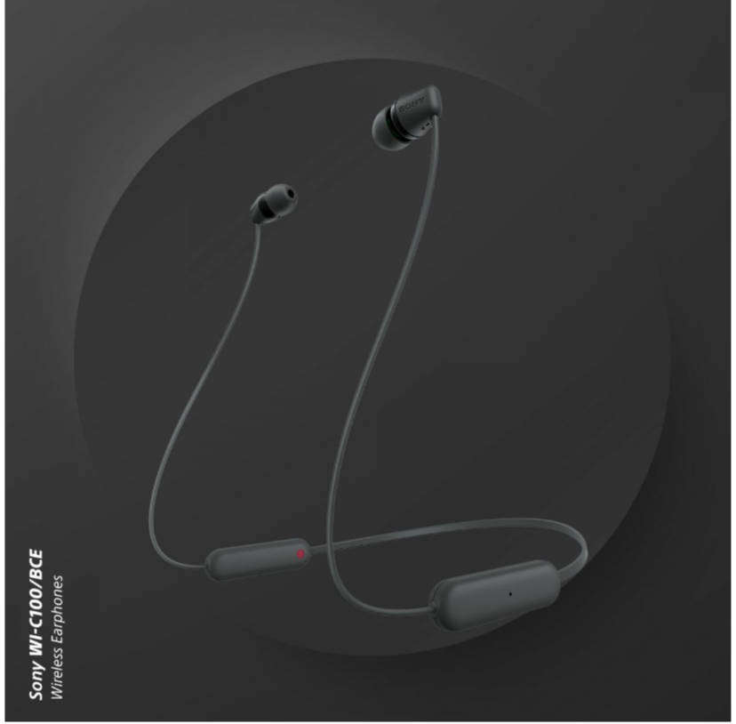Sony WI-C100 Wireless In-Ear Earphones