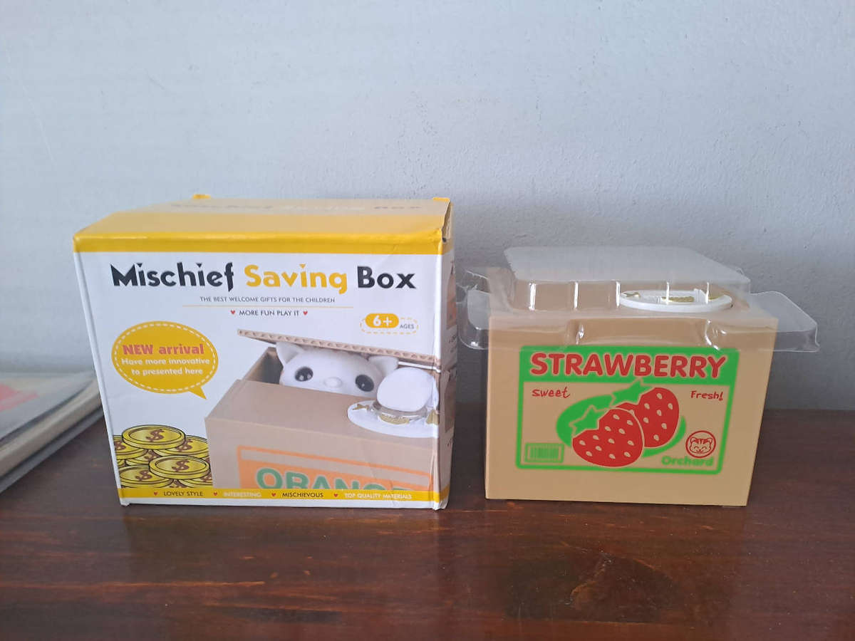 Mischief money savings box
