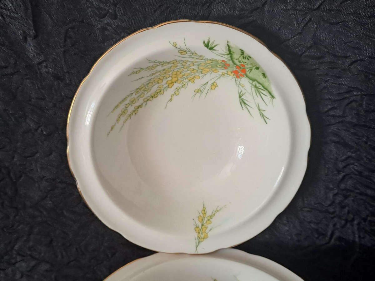 Vintage Royal Stafford dessert bowls x 6"Broom" pattern