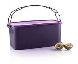 Tupperware Carry Away 9L