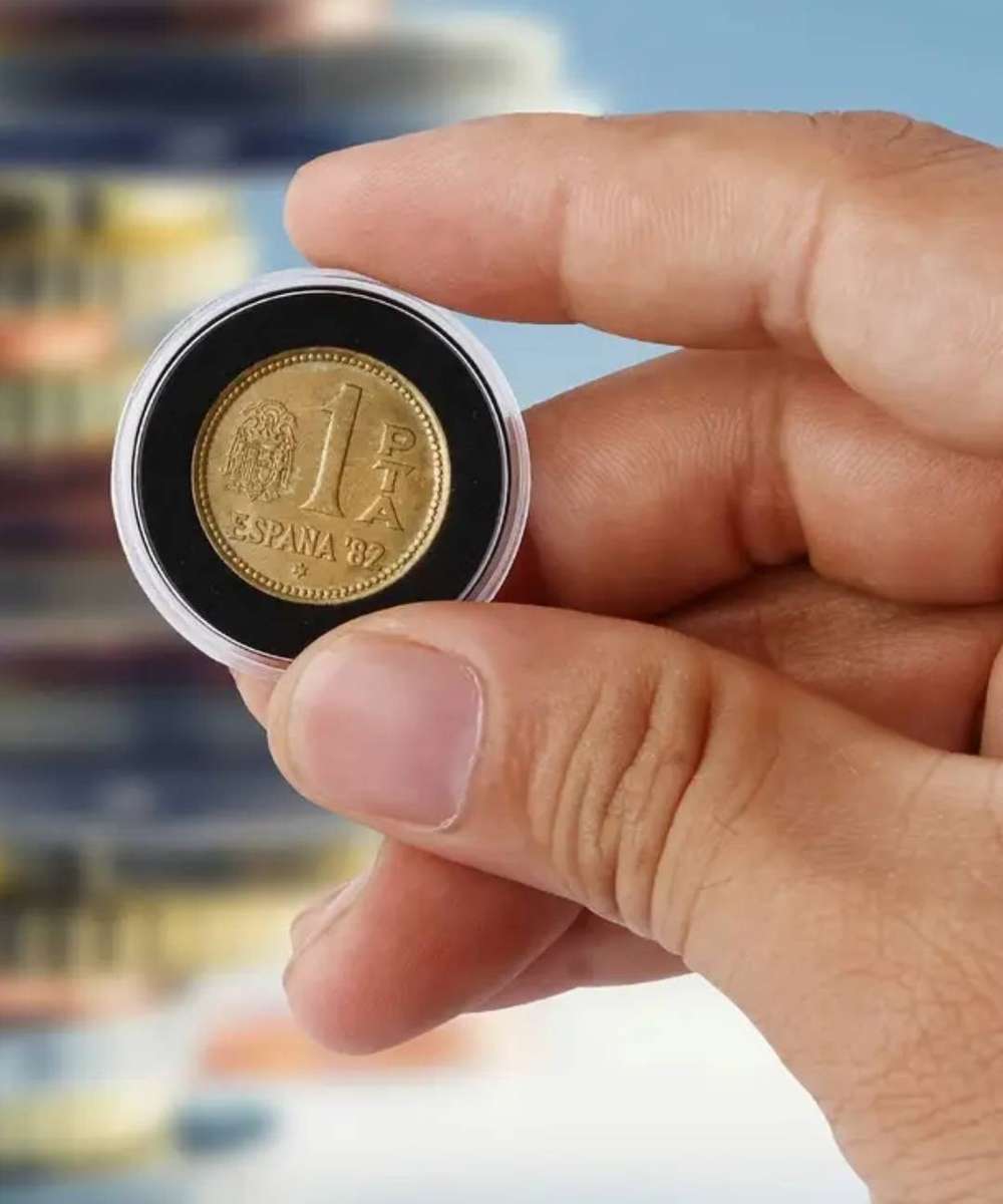 100 Pcs Adjustable Coin Protection Case with Black Inner Pads