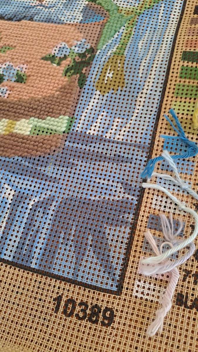 Tapestry canvas and a few yarns - partially completed- 30 x 40cm